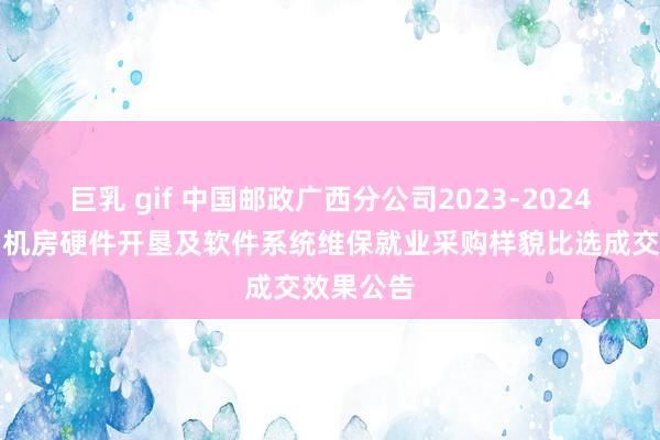 巨乳 gif 中国邮政广西分公司2023-2024年详细网机房硬件开垦及软件系统维保就业采购样貌比选成交效果公告