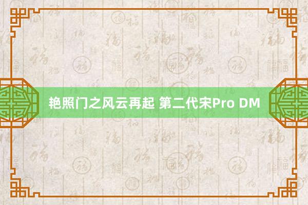 艳照门之风云再起 第二代宋Pro DM