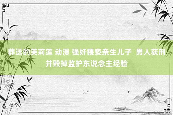 葬送的芙莉莲 动漫 强奸猥亵亲生儿子  男人获刑并毁掉监护东说念主经验