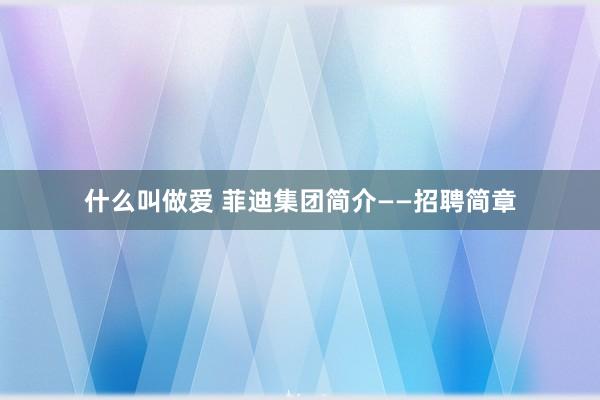 什么叫做爱 菲迪集团简介——招聘简章