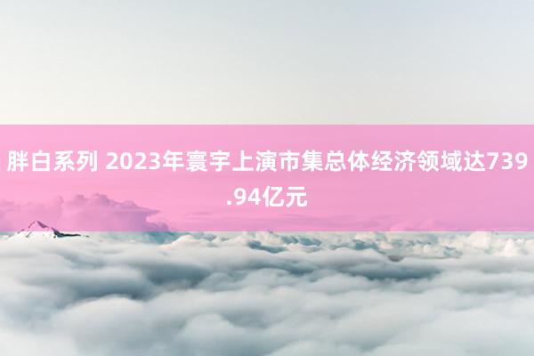 胖白系列 2023年寰宇上演市集总体经济领域达739.94亿元